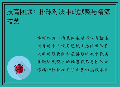 技高团默：排球对决中的默契与精湛技艺
