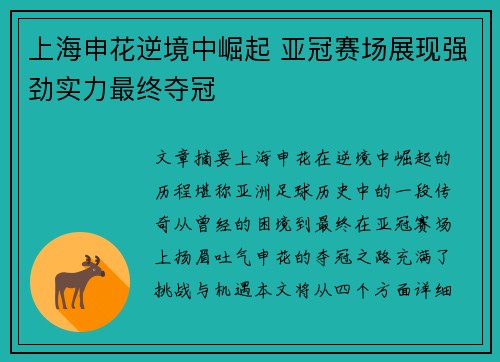 上海申花逆境中崛起 亚冠赛场展现强劲实力最终夺冠